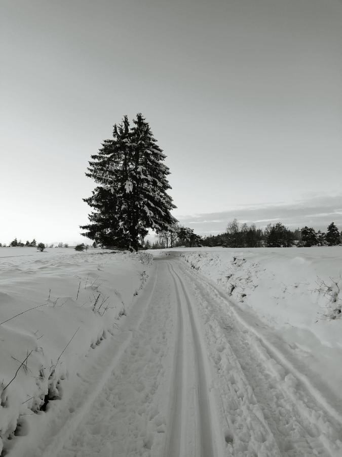 Matejovec 109 & Ubytovani Na Statku Český Rudolec Exterior foto