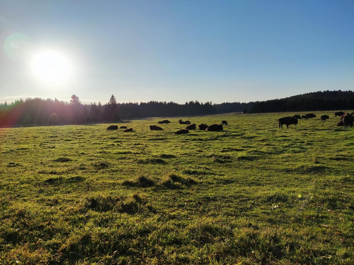 Matejovec 109 & Ubytovani Na Statku Český Rudolec Exterior foto